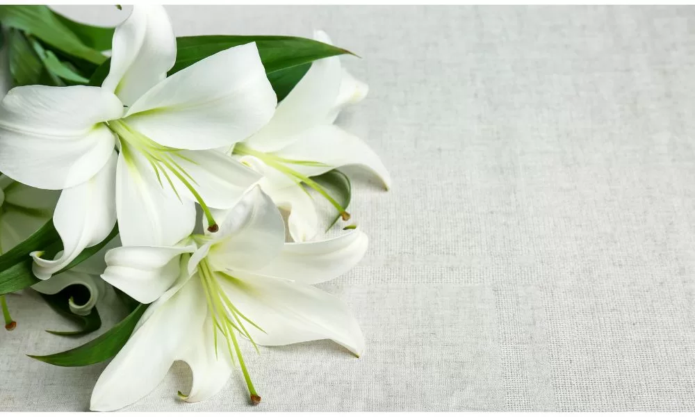 山崎氏の葬儀は